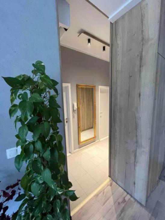 Cozy Apartment براتسيلافا المظهر الخارجي الصورة