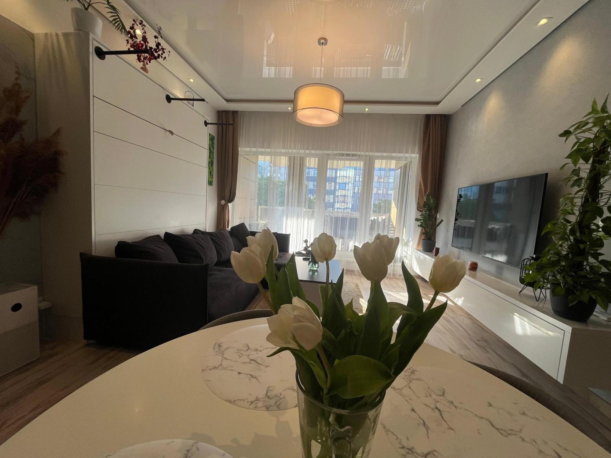 Cozy Apartment براتسيلافا المظهر الخارجي الصورة