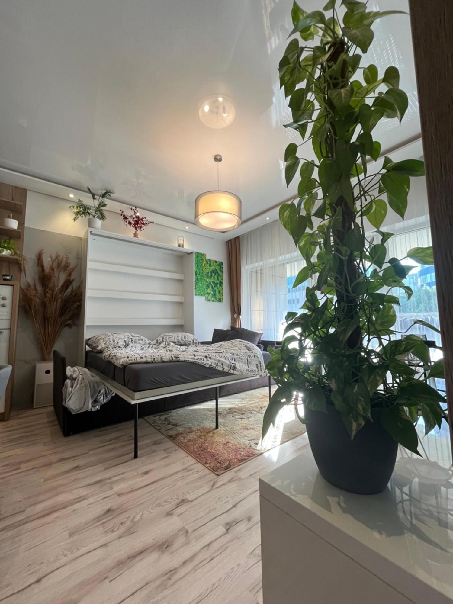 Cozy Apartment براتسيلافا المظهر الخارجي الصورة